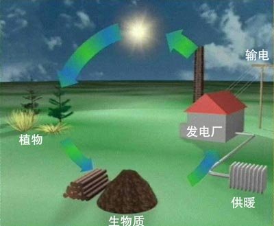 能源紧缺催生中国生物质能发展